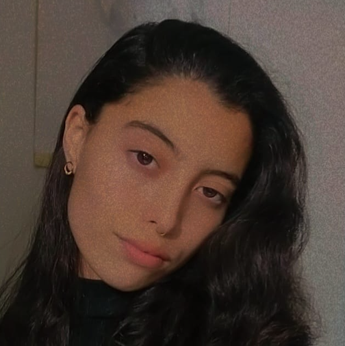 Perfil